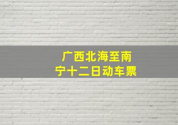 广西北海至南宁十二日动车票