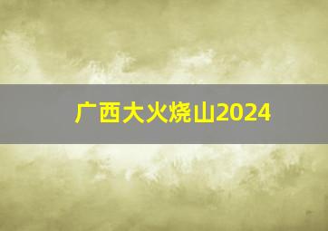 广西大火烧山2024