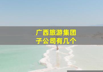 广西旅游集团子公司有几个