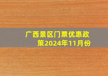 广西景区门票优惠政策2024年11月份