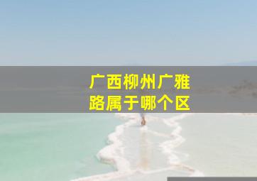 广西柳州广雅路属于哪个区