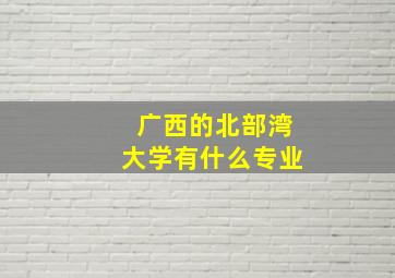 广西的北部湾大学有什么专业