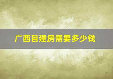 广西自建房需要多少钱