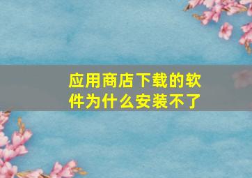 应用商店下载的软件为什么安装不了