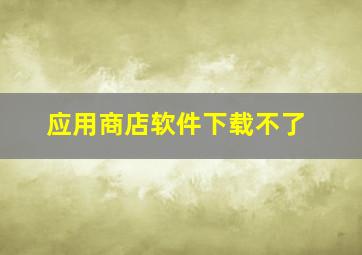 应用商店软件下载不了