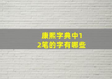 康熙字典中12笔的字有哪些