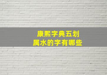 康熙字典五划属水的字有哪些