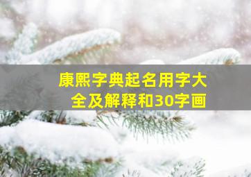 康熙字典起名用字大全及解释和30字画