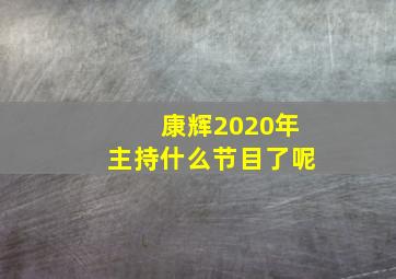 康辉2020年主持什么节目了呢