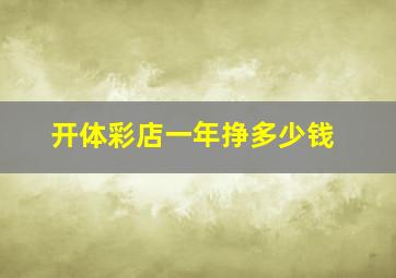 开体彩店一年挣多少钱