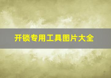 开锁专用工具图片大全