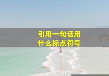 引用一句话用什么标点符号