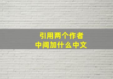 引用两个作者中间加什么中文