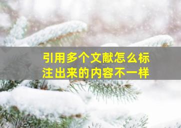 引用多个文献怎么标注出来的内容不一样