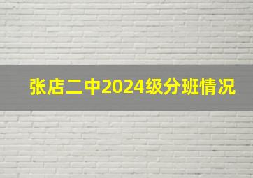 张店二中2024级分班情况