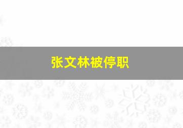 张文林被停职