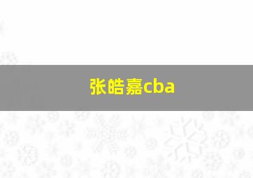 张皓嘉cba