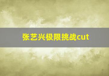 张艺兴极限挑战cut