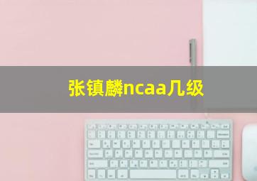 张镇麟ncaa几级