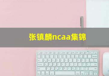 张镇麟ncaa集锦