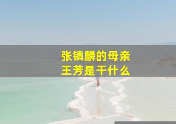 张镇麟的母亲王芳是干什么