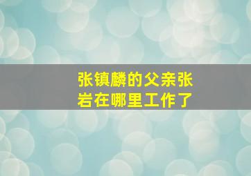 张镇麟的父亲张岩在哪里工作了