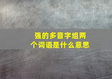 强的多音字组两个词语是什么意思