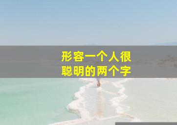 形容一个人很聪明的两个字