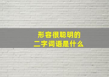 形容很聪明的二字词语是什么