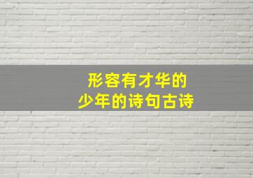 形容有才华的少年的诗句古诗