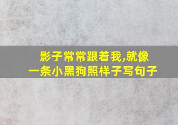 影子常常跟着我,就像一条小黑狗照样子写句子