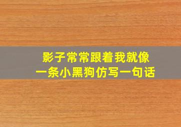 影子常常跟着我就像一条小黑狗仿写一句话