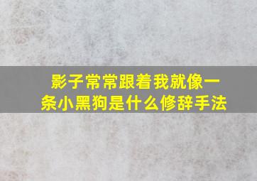 影子常常跟着我就像一条小黑狗是什么修辞手法