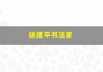 徐建平书法家