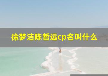 徐梦洁陈哲远cp名叫什么