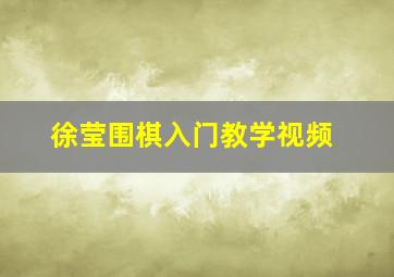 徐莹围棋入门教学视频