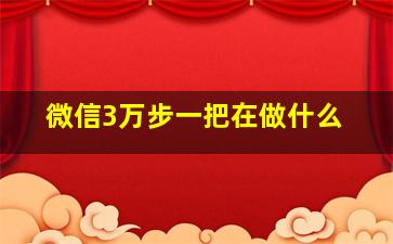 微信3万步一把在做什么