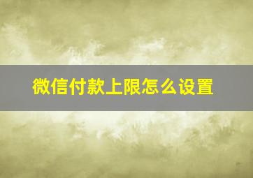 微信付款上限怎么设置