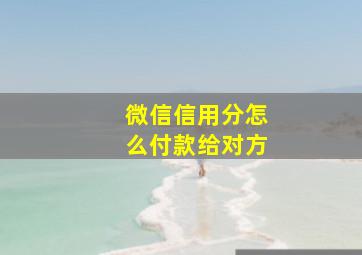 微信信用分怎么付款给对方