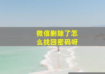 微信删除了怎么找回密码呀