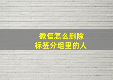 微信怎么删除标签分组里的人