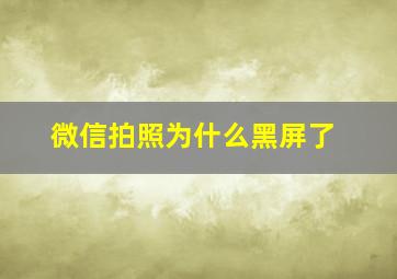 微信拍照为什么黑屏了