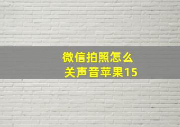 微信拍照怎么关声音苹果15