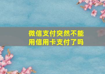 微信支付突然不能用信用卡支付了吗