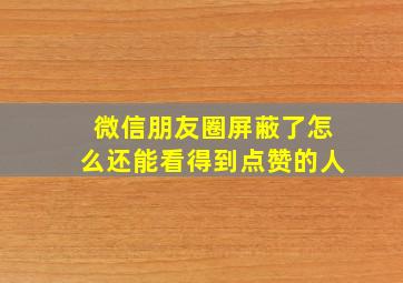 微信朋友圈屏蔽了怎么还能看得到点赞的人