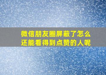 微信朋友圈屏蔽了怎么还能看得到点赞的人呢