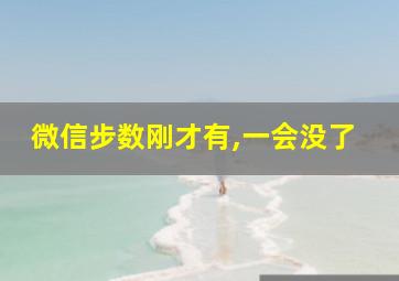 微信步数刚才有,一会没了