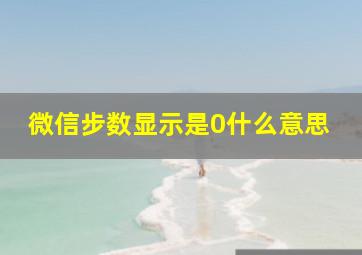 微信步数显示是0什么意思