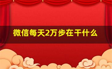 微信每天2万步在干什么