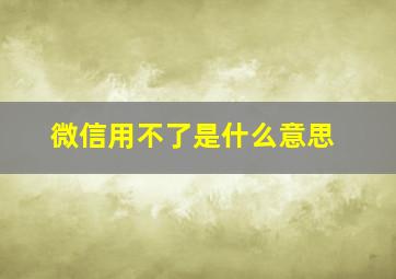 微信用不了是什么意思